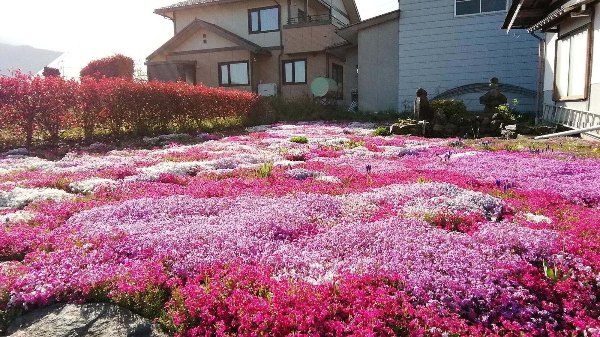 يامانوتشي Guest House Honami-Kaido المظهر الخارجي الصورة